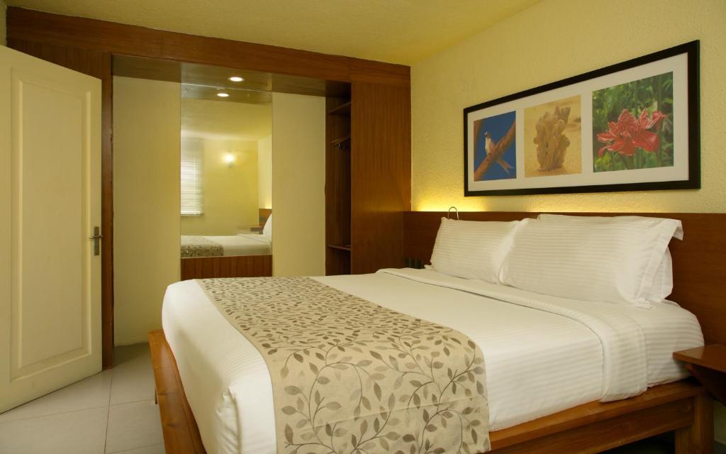 كورال ستراند سمارت تشويس 4*